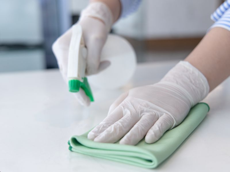 מזיקים בבית